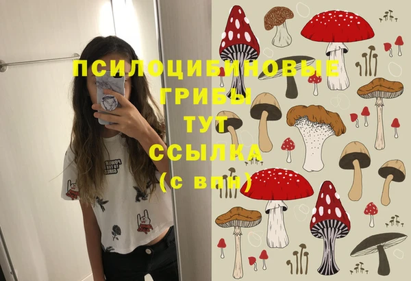 гашиш Надым